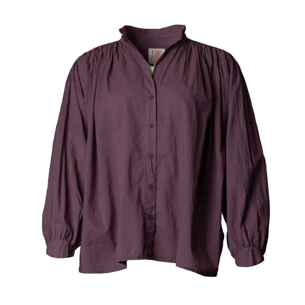 A Shirt Thing Poet Blouse Sz. L NWOT